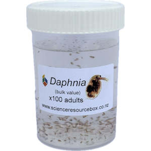Secondary: Daphnia live culture (bulk value)