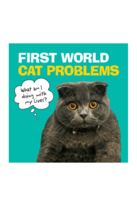 Him: FIRST WORLD CAT PROBLEMS: WHAT AM I DOING WITH MY LIVES?