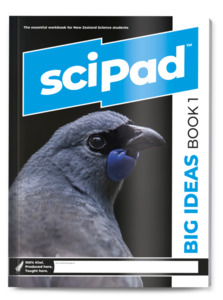 Year 9 - Big Ideas Book 1 sciPAD