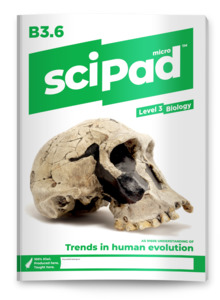 Biology 3.6 (Human Evolution) sciPAD