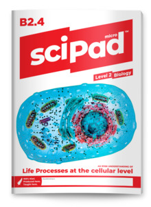 Biology 2.4 (Life Processes) sciPAD