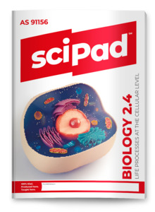 Biology: Biology 2.4 (Life Processes) sciPAD