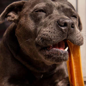 Chonkers - Venison Shaker Chew