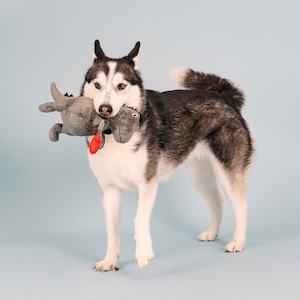 Fringe Studio Rocker Rex