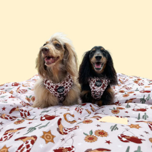 Pablo Co: Pablo & Co Deluxe Travel Mat: Howdy / Rodeo