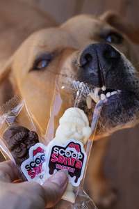 Ice Cream: Scoop Santa