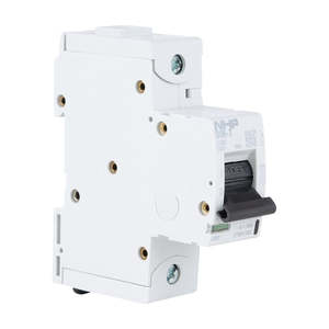 Circuit Breakers: NHP MCB Din-T 10H 1P 100A C Curve