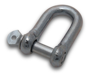 Elecsupp D Shackle 10mm Pin Galv Each