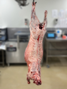 Lamb – Whole – Scotty's Meats