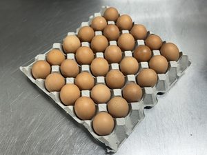 Pantry – Eggs (tray) – Scotty's Meats