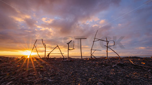 Products: Napier driftwood art on Marine Parade Beach at Sunrise, Napier, Hawke's Bay, New Zealand - SCP Stock