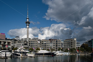Products: Yachts, appartments & businesses with the Skytower behind, Viaduct Basin, Auckland CBD, New Zealand - SCP Stock