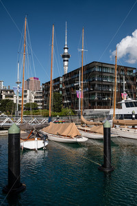 Products: Yachts & appartments with the Skytower behind, Viaduct Basin, Auckland CBD, New Zealand - SCP Stock