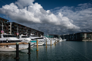 Products: Yachts & appartments at Viaduct Basin, Auckland CBD, New Zealand - SCP Stock