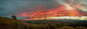 Products: Te Mata Peak, Hawke's Bay, New Zealand - SCP Stock