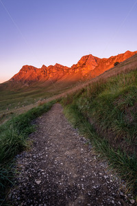Products: Te Mata Peak from the now abandoned walking track, Havelock North, Hawke's Bay, New Zealand - SCP Stock