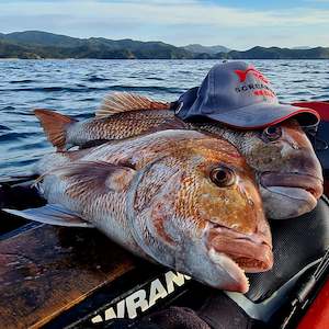 Apparel and Life Jackets: Screaming Reels Embroidered Cap