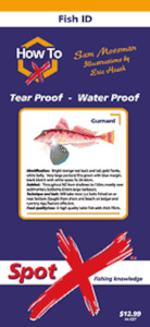 Books And Phamplets: Spot-X Fish ID For NZ Fishermen