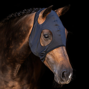Products: LAMI-CELL COME BEST TITANIUM HOOD scsaddlery