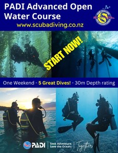 Products: Advanced Open Water Course - NZ Sea Adventures - Wellington