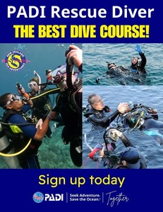 Products: Rescue Diver Course - NZ Sea Adventures