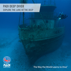Products: PADI Deep Diver Specialty - Wellington NZ Sea Adventures