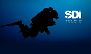 Products: SDI Solo Diver course - NZ Sea Adventures
