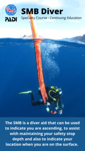 Products: SMB Specialty Course - NZ Sea Adventures, NZ Sea Adventures