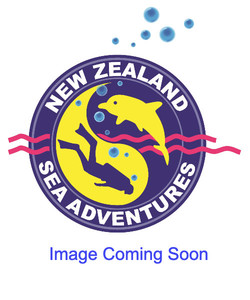Products: Apollo AV-1 DPV's - NZ Sea Adventures