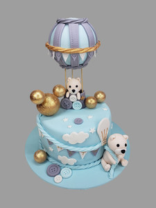 Products: Air Balloon & Teddy SD Cakes