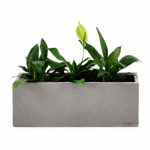 BLOK Concrete Rectangle Trough Planter