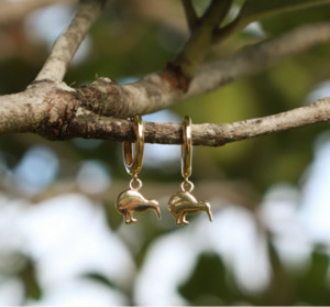 Products: Kiwi Huggies