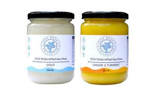 Sea Moss Gels: Sea Moss Gel – Gold + Ginger & Turmeric (Bundle)