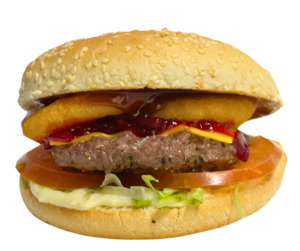 Burgers Menu: Premium Beef Burger