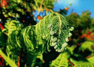 Products: Green Caterpillar - TeMuri
