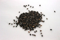 Products: Buckwheat organic - seed and feed