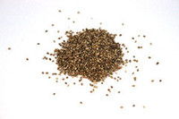 Products: Japanese millet - seed and feed