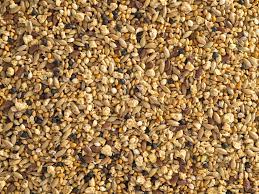 QUAIL MIX – Seeds & Cereals (2000)