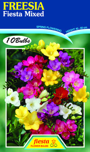 FREESIA FLOWER BULBS – Seeds & Cereals (2000)