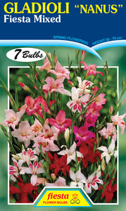 Products: GLADIOLI NANUS FLOWER BULBS – Seeds & Cereals (2000)