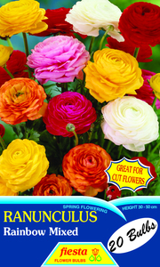 Products: RANUNCULUS FLOWER BULBS – Seeds & Cereals (2000)