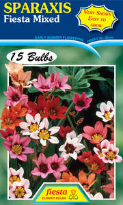 Products: SPARAXIS FLOWER BULBS – Seeds & Cereals (2000)