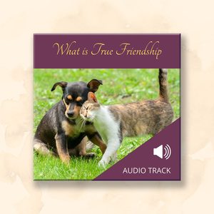 All Audio Recordings: What is True Friendship?