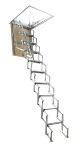 Products: SC30 (800 x 600) Attic Ladder