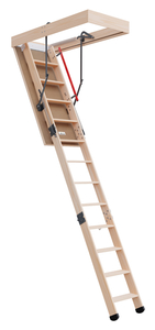 D30 Attic Ladder