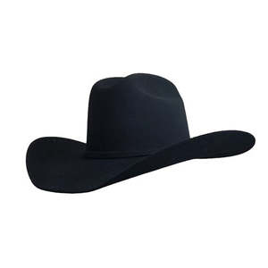 Hat Accessories: Yellowstone Black Cowboy Hat