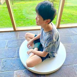 Gross Motor: Spin Board