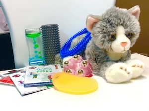 Sensory Packages: Sensory Calming Kit