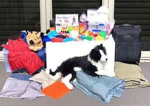 Our Weighted Blankets: Sensory Starter Kit