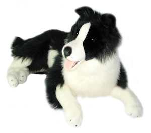 Wholesale Weighted: Weighted Dog Border Collie 4kg